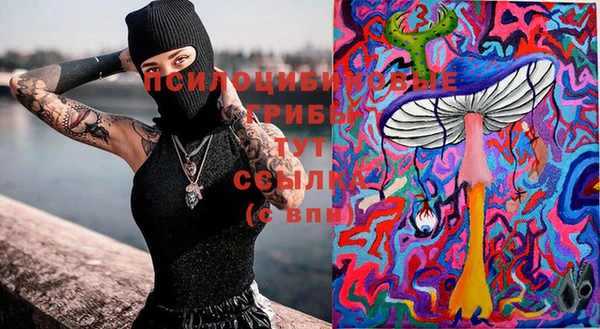 каннабис Алзамай