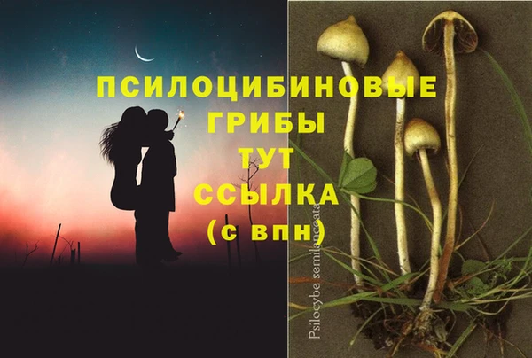 меф Алексин